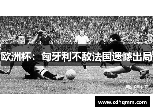 欧洲杯：匈牙利不敌法国遗憾出局